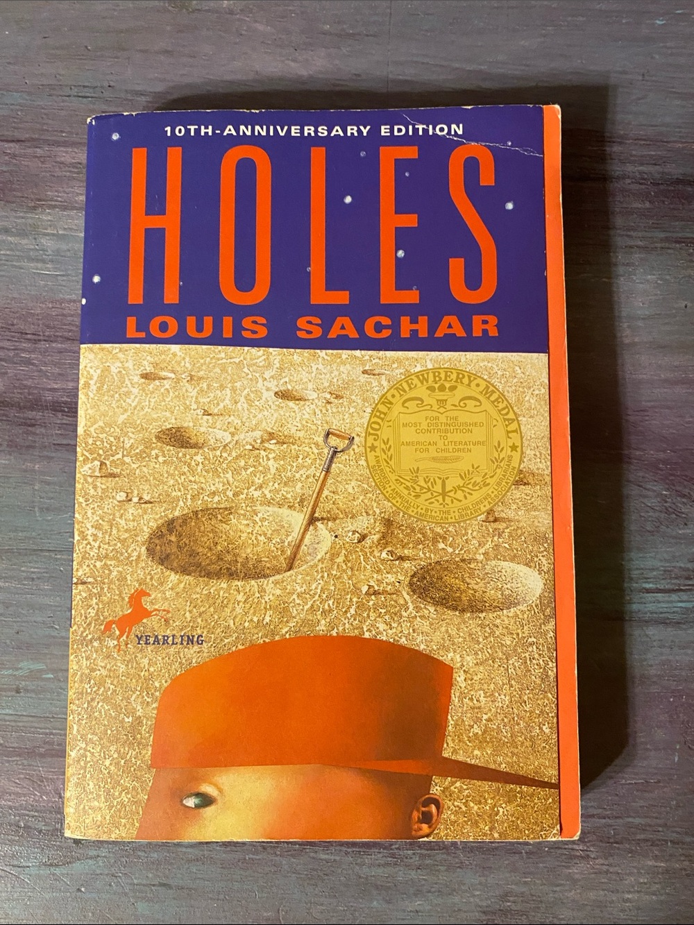 Holes Book by Louis Sachar-10th Anniversary Edition